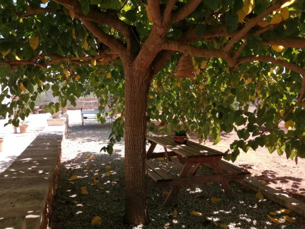Sa Estada Séjour à la campagne Sineu (Mallorca)